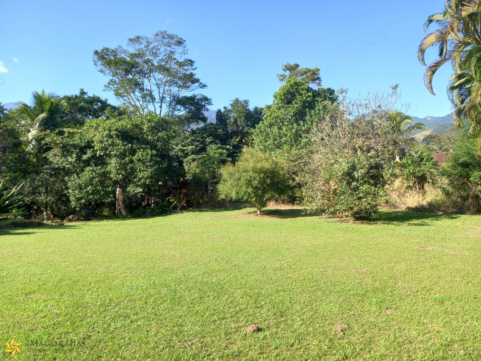 Terreno, 4332 m² - Foto 6