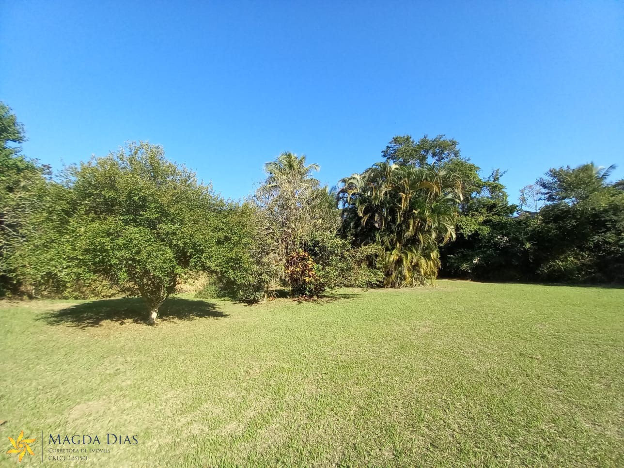 Terreno, 4332 m² - Foto 3