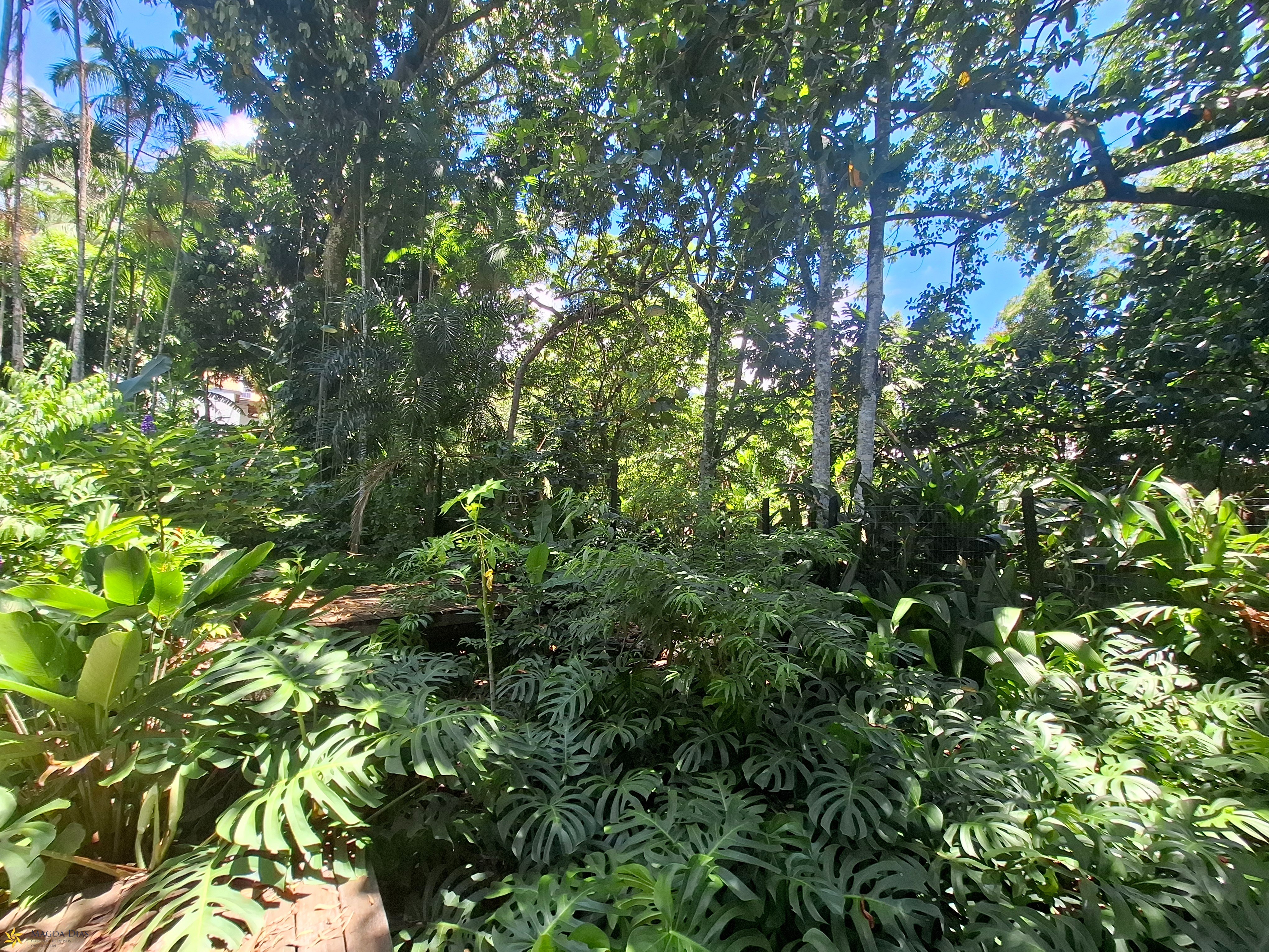 Casa, 4 quartos - Foto 49