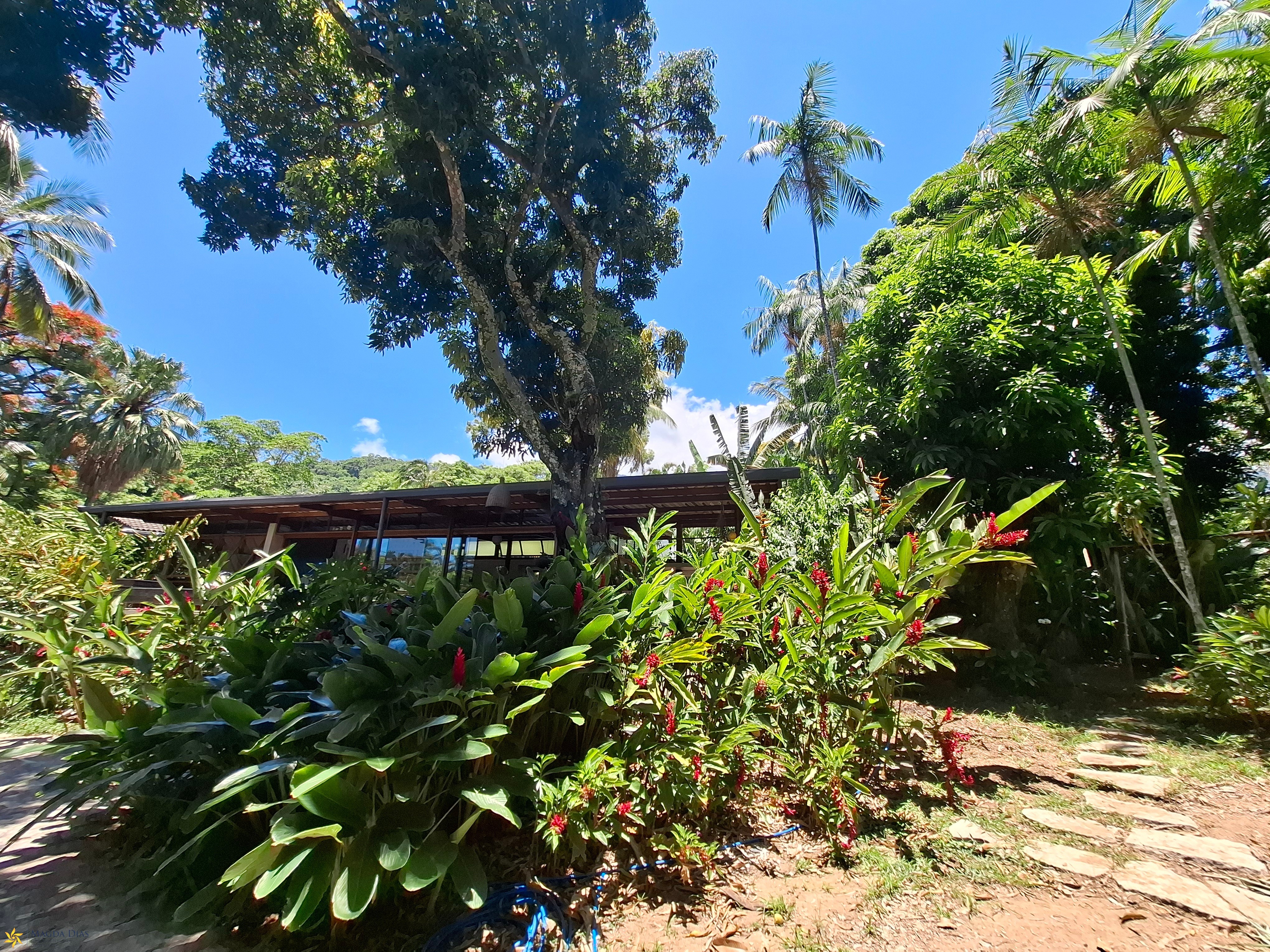 Casa, 4 quartos - Foto 2