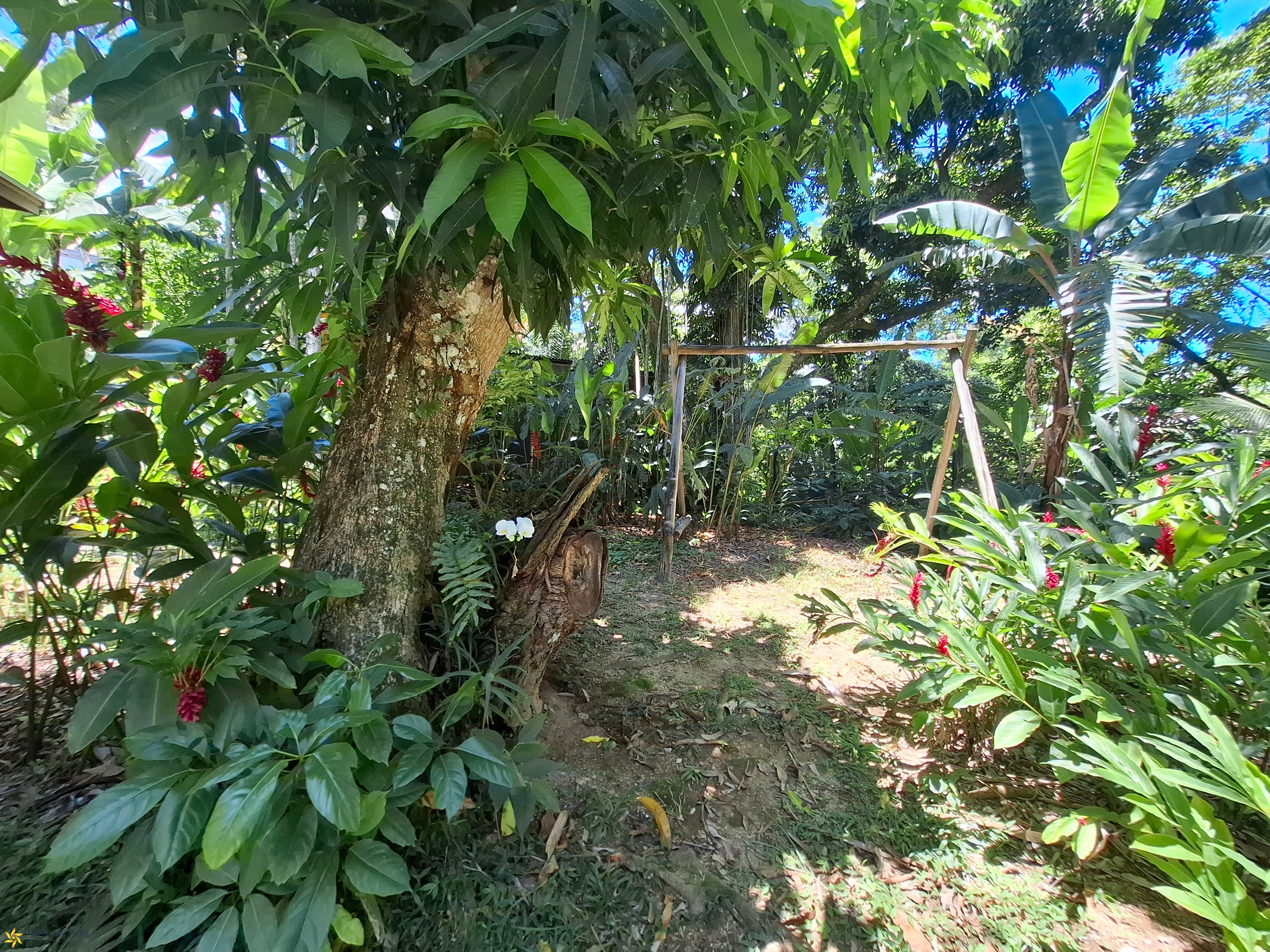 Casa, 4 quartos - Foto 45