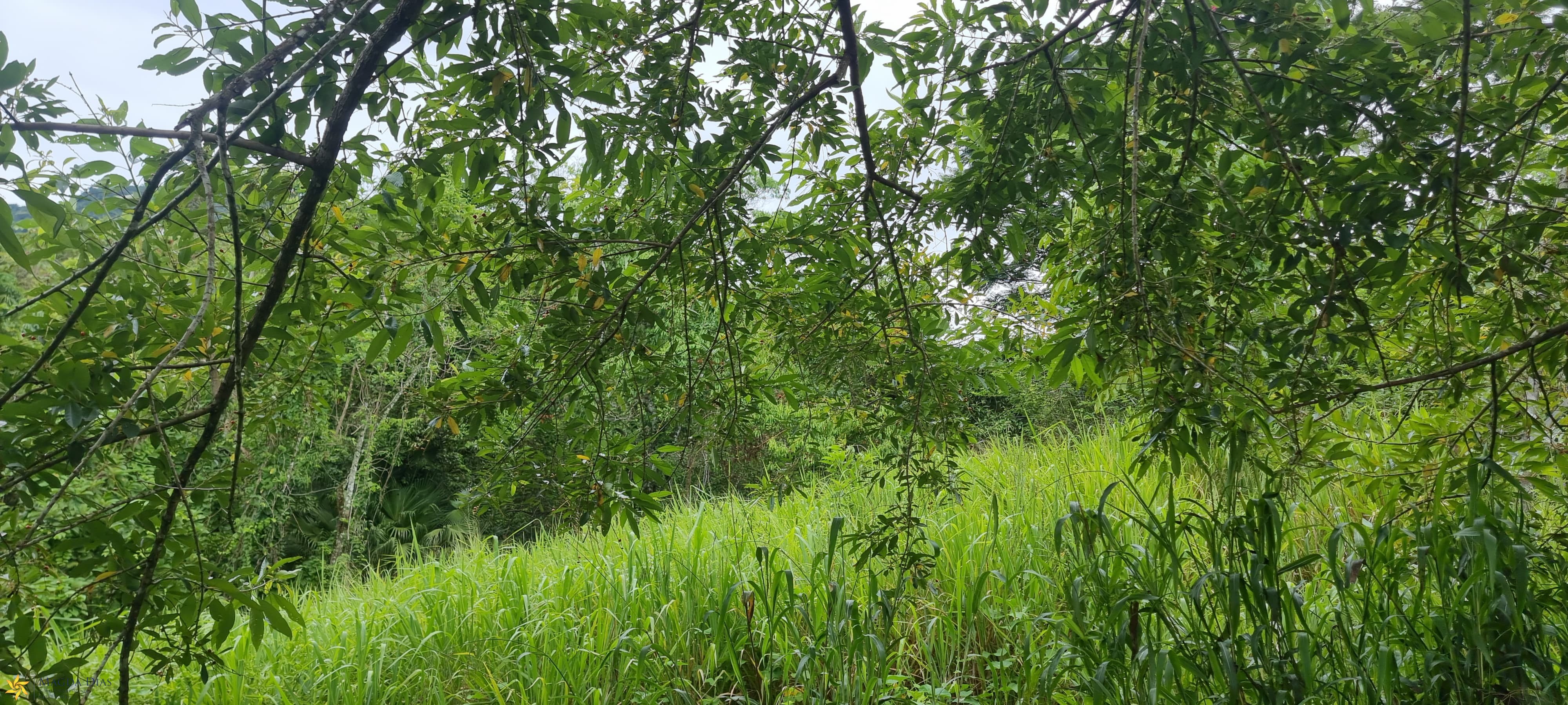 Terreno, 1161 m² - Foto 8