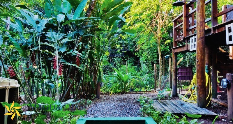 Casa, 3 quartos - Foto 23