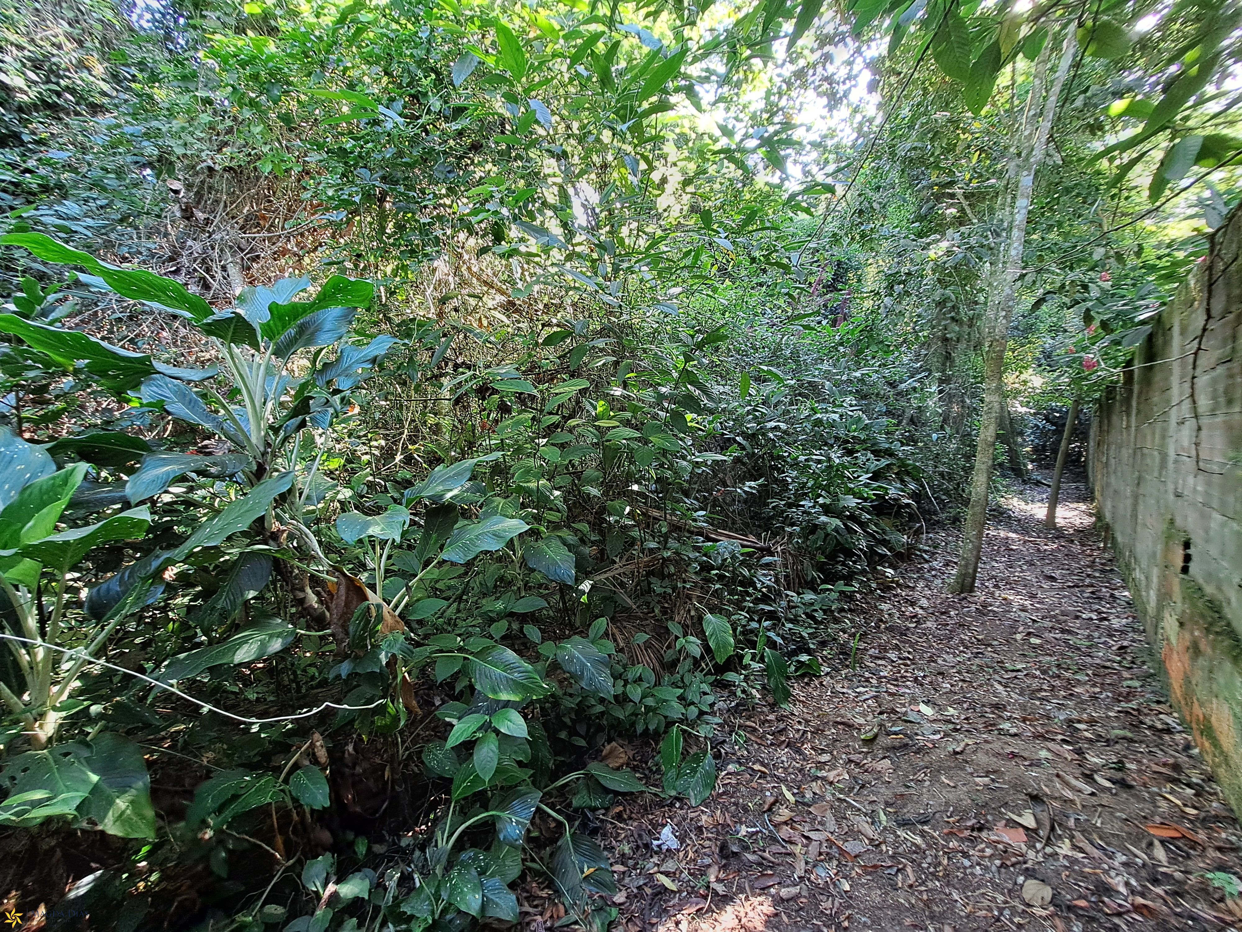 Terreno, 674 m² - Foto 6