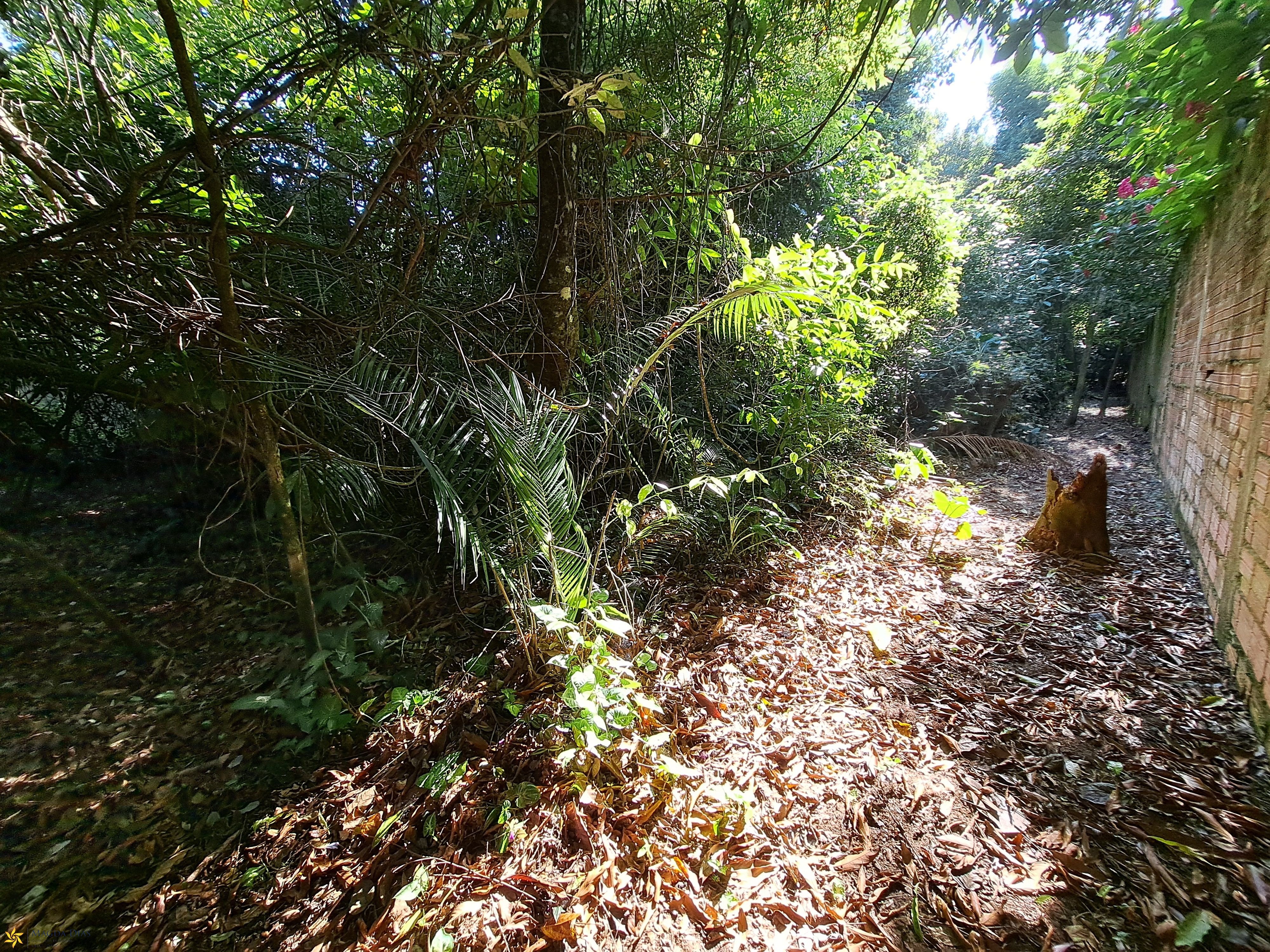 Terreno, 674 m² - Foto 4