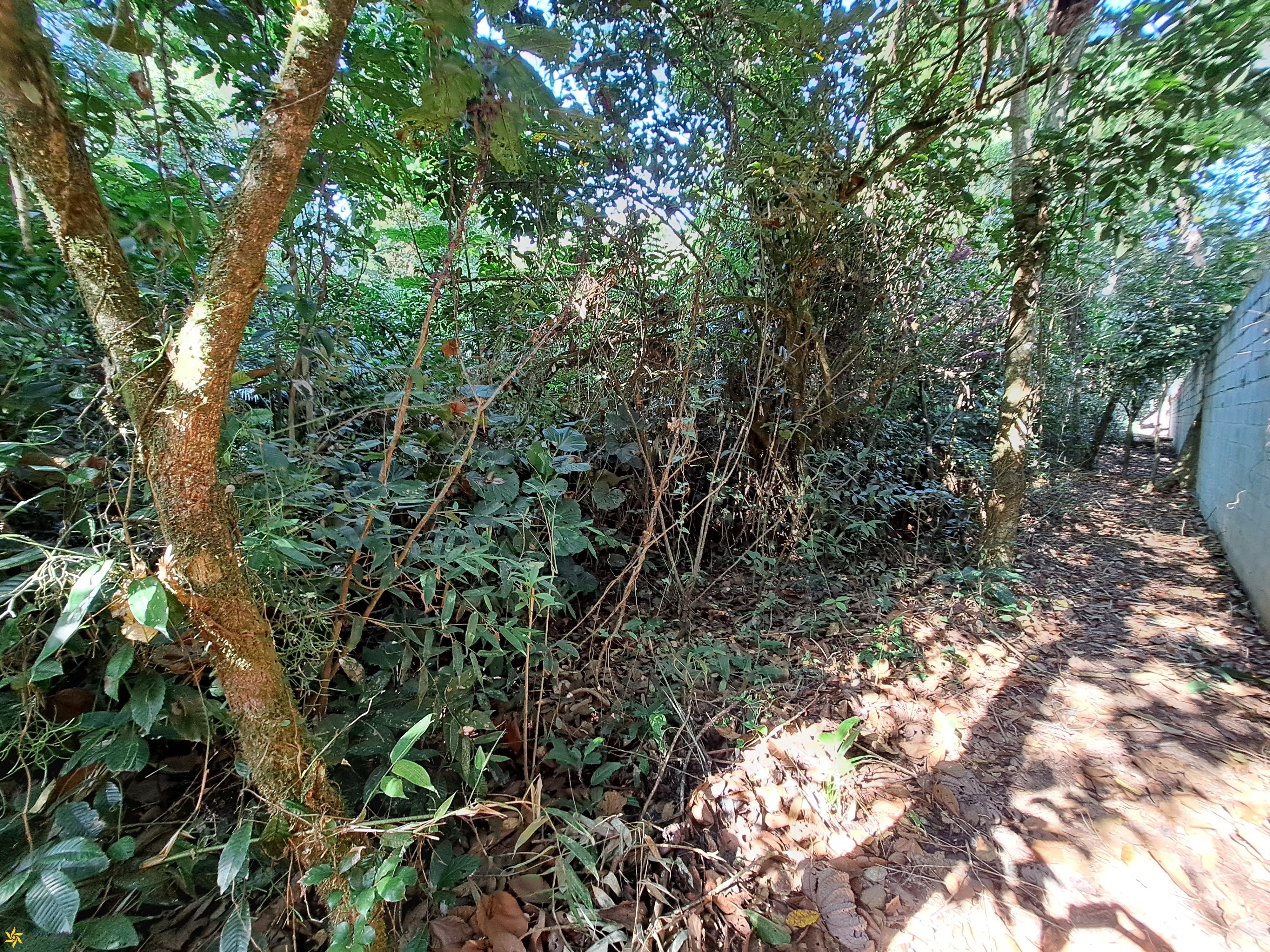 Terreno, 674 m² - Foto 9
