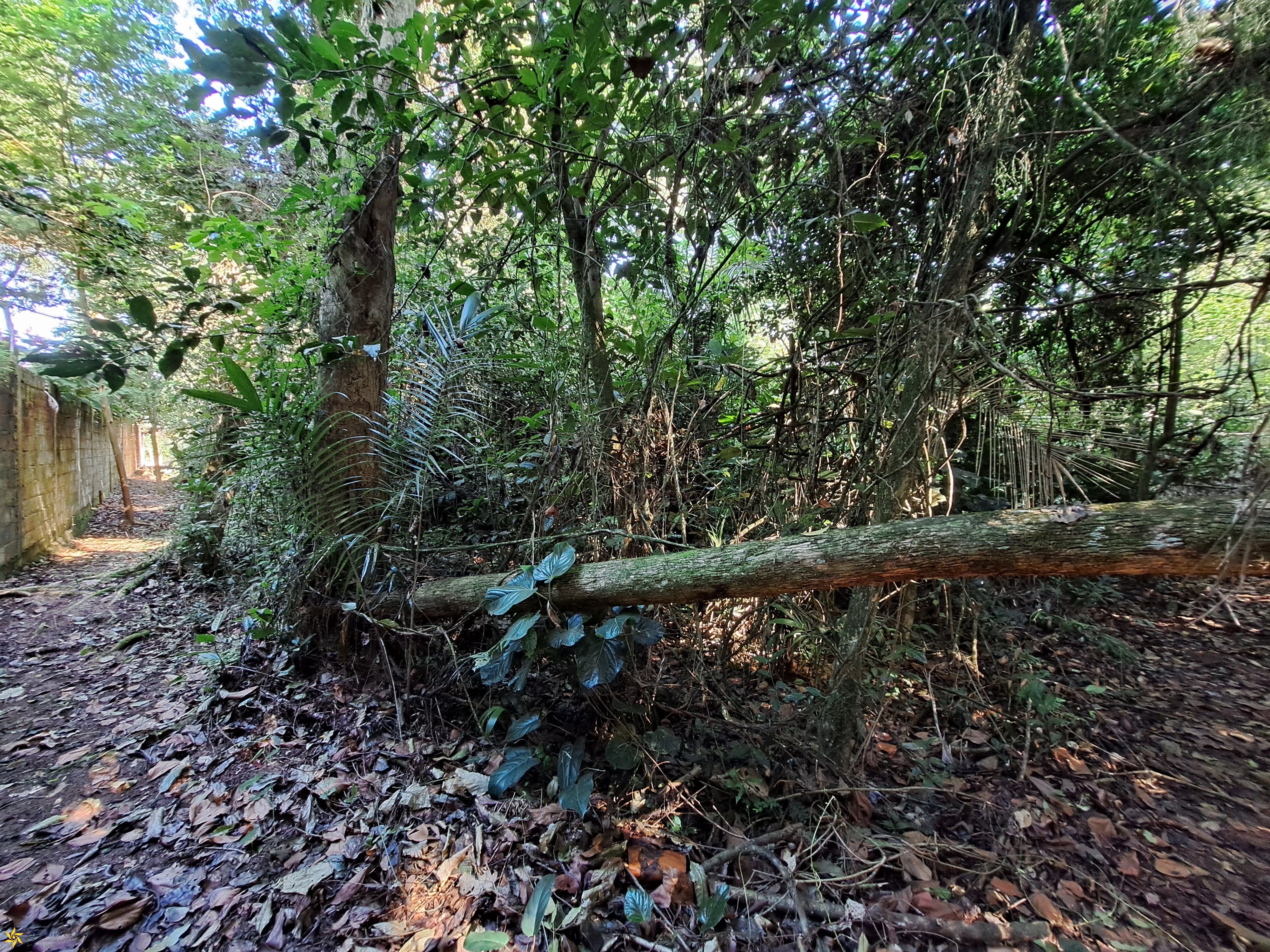 Terreno, 674 m² - Foto 8