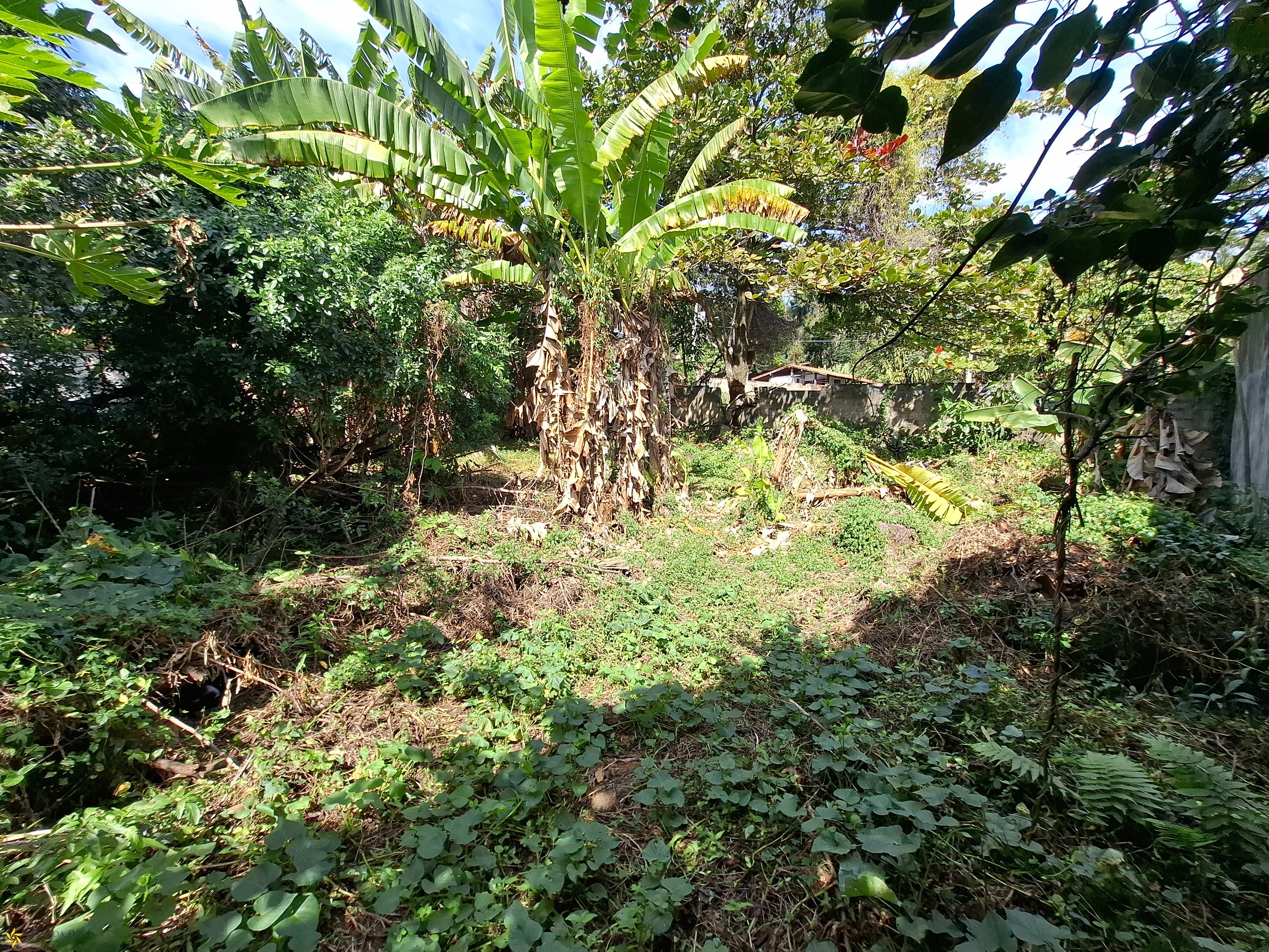 Terreno, 448 m² - Foto 3