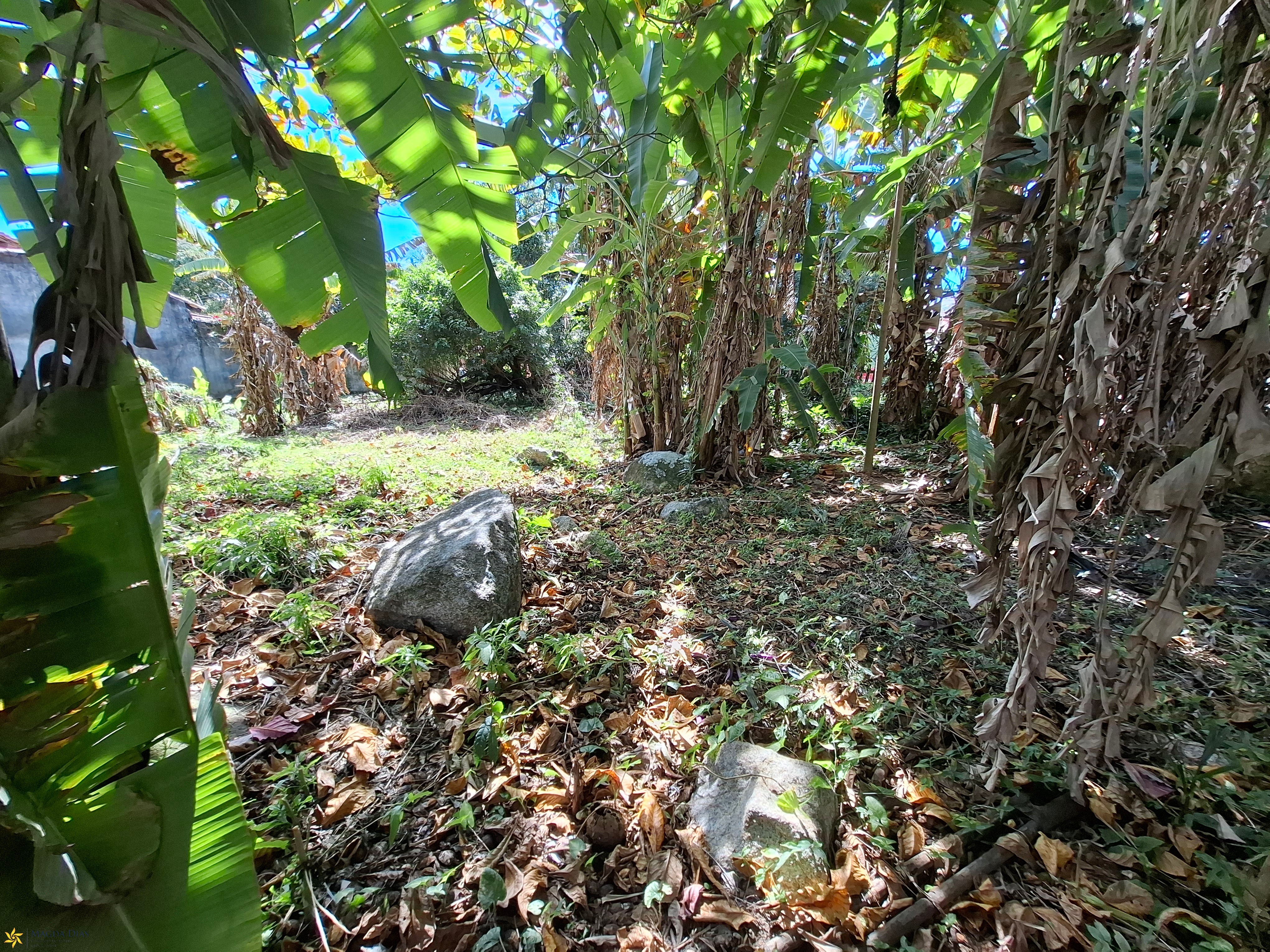 Terreno, 448 m² - Foto 6
