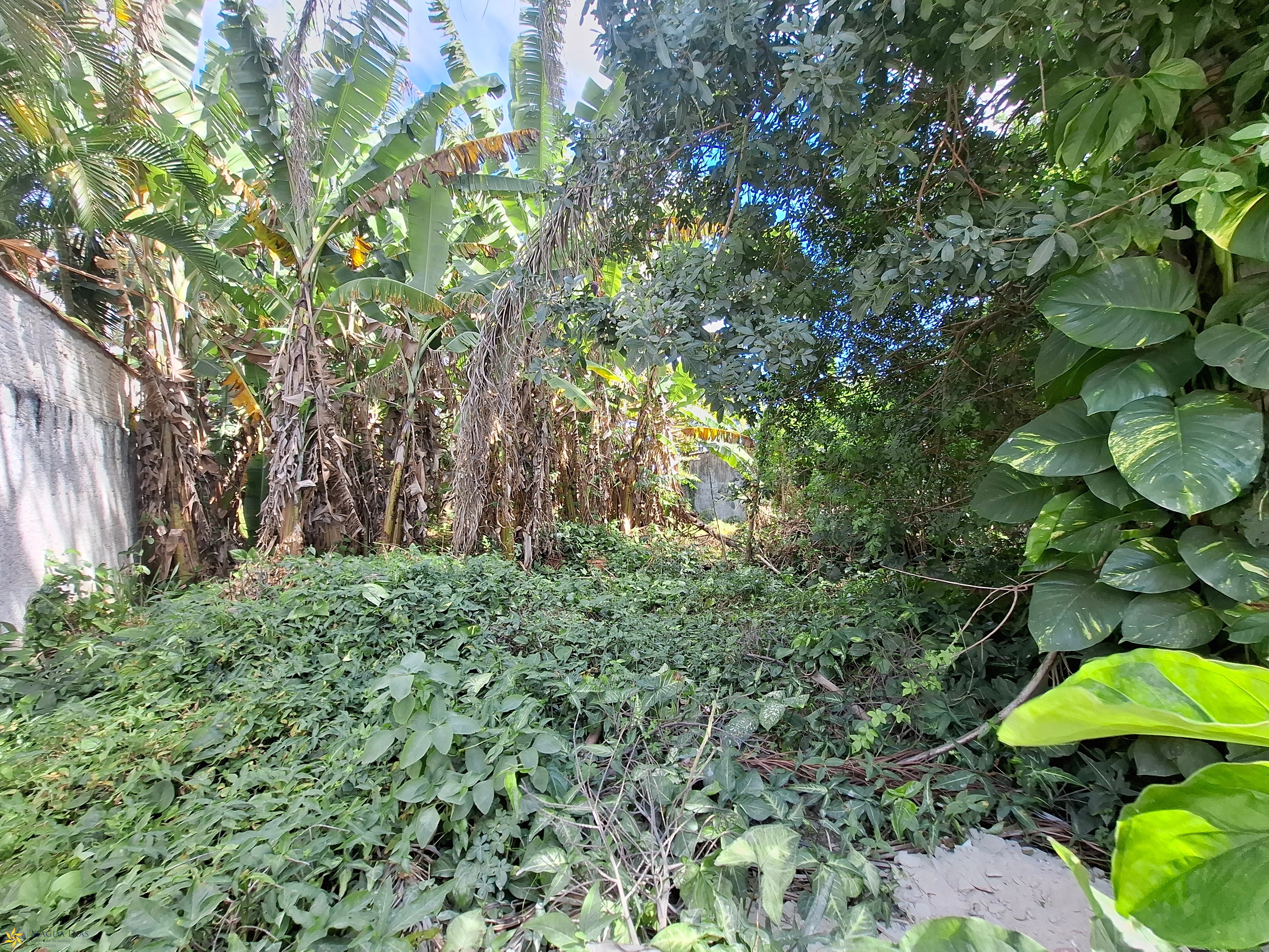 Terreno, 448 m² - Foto 11