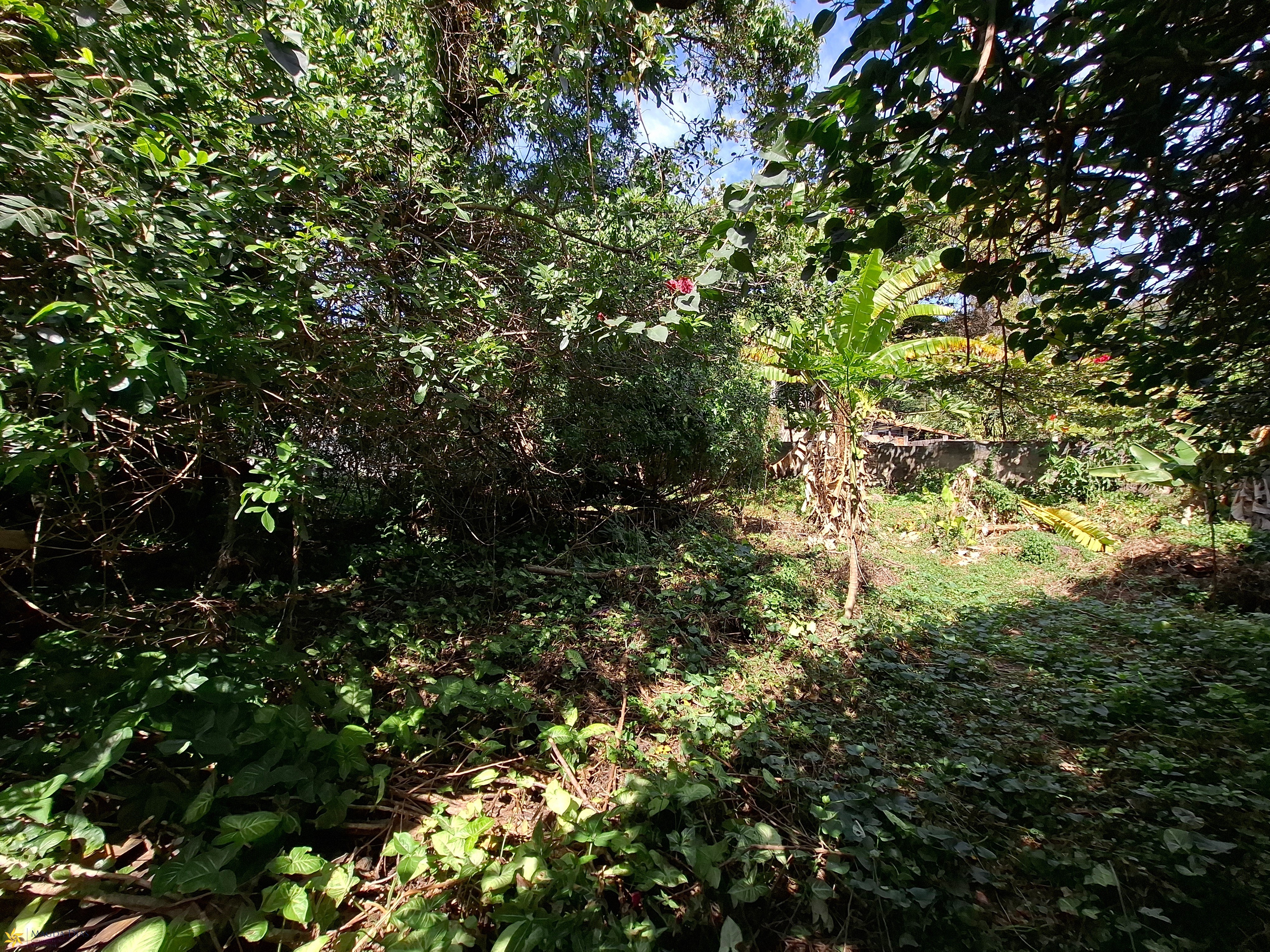 Terreno, 448 m² - Foto 2