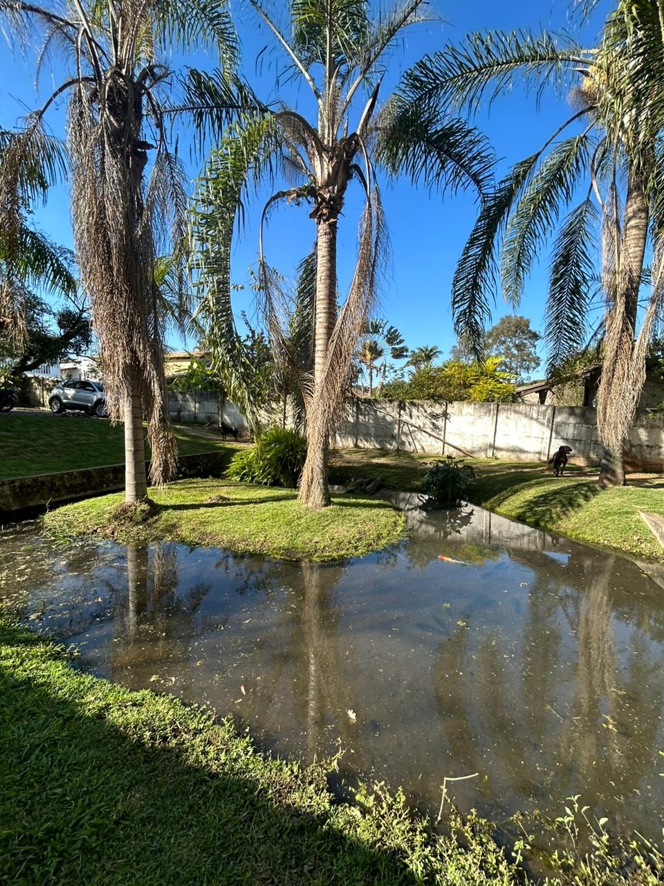 Chácara à venda com 3 quartos, 176m² - Foto 19