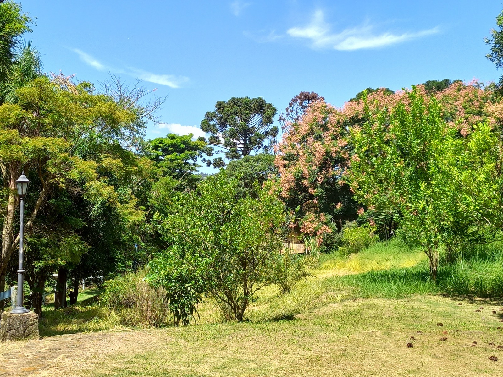 Sítio à venda com 4 quartos, 2000m² - Foto 43