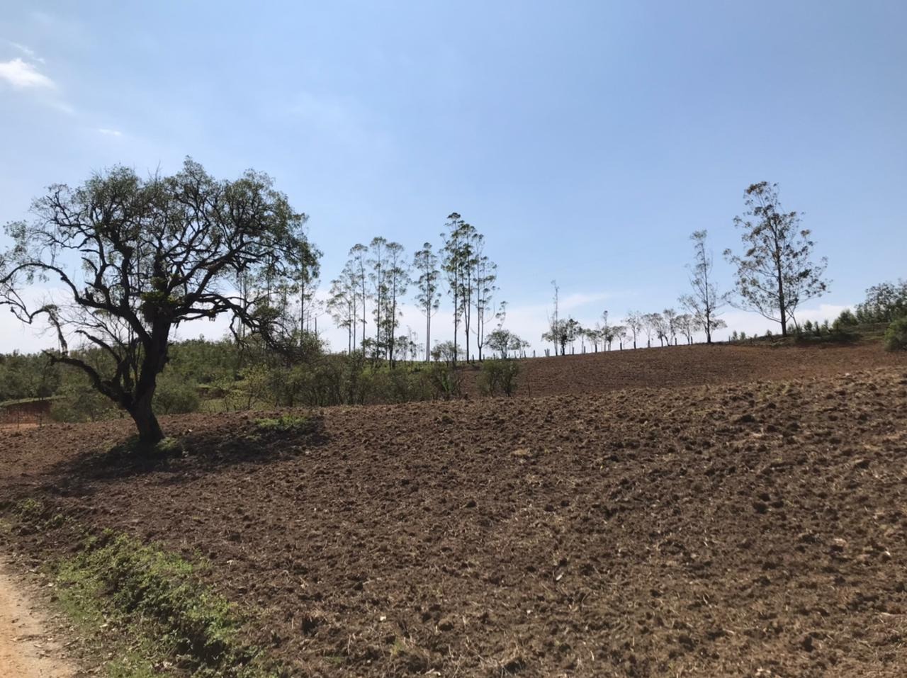 Sítio, 92000 m² - Foto 6