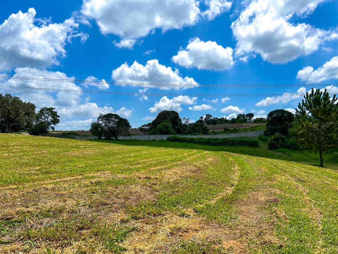 Terreno à venda, 1520m² - Foto 6