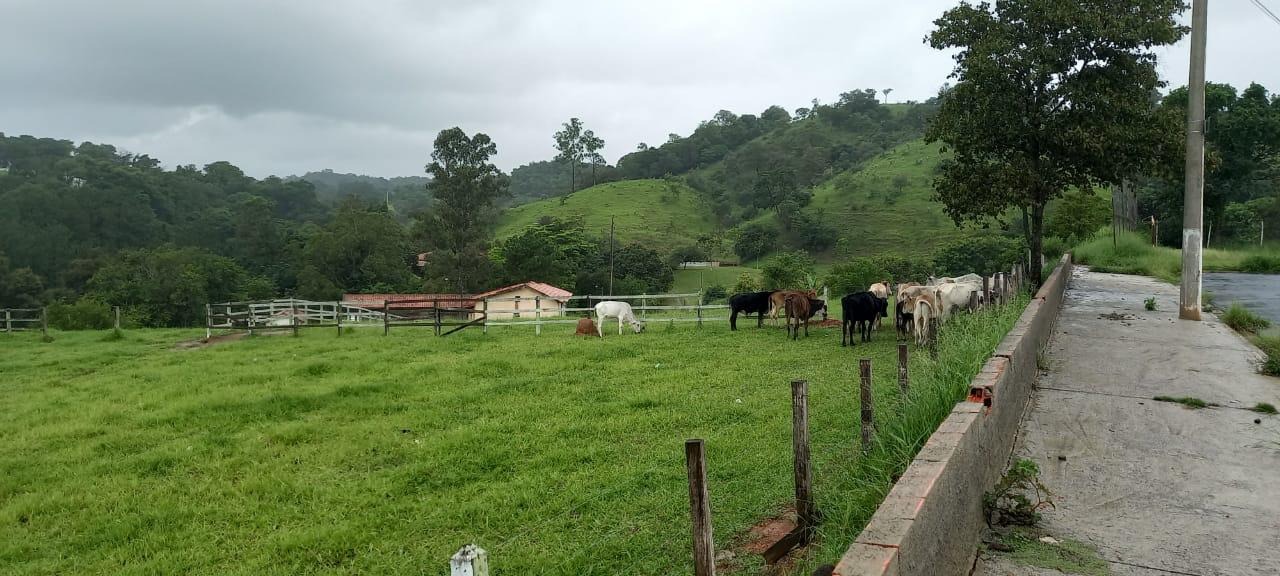 ÁREA em APARECIDINHA