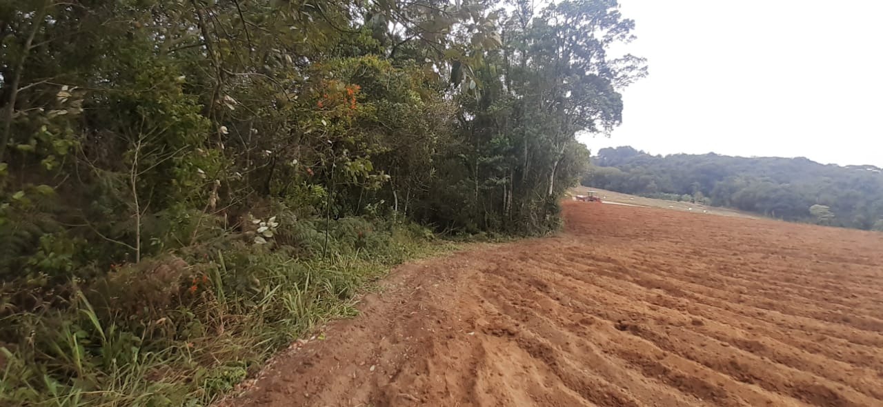 Projeto pioneiro de compensação ambiental em Piedade, SP!