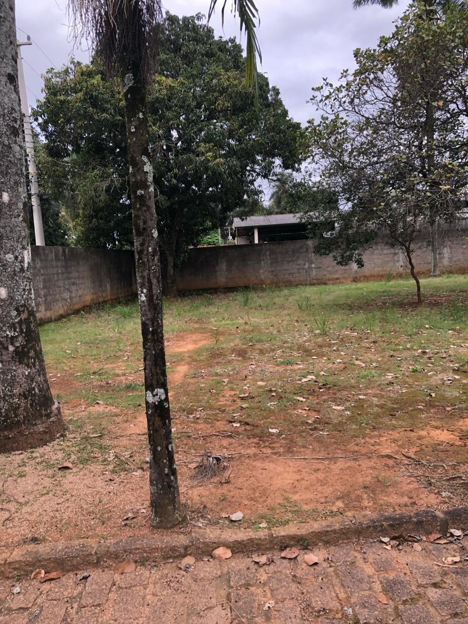 Terreno à venda com 2 quartos, 2290m² - Foto 3