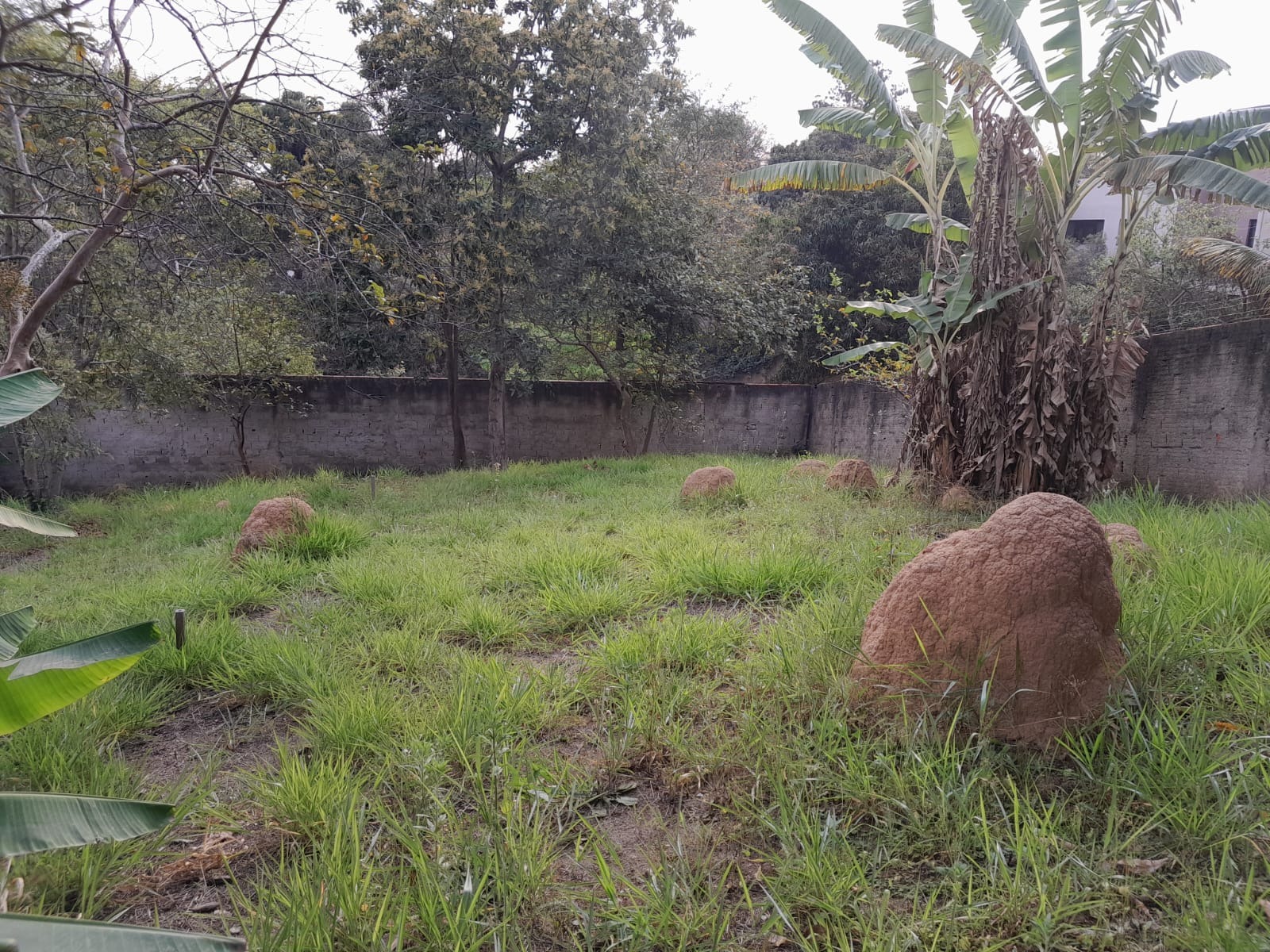 Terreno à venda, 330m² - Foto 3