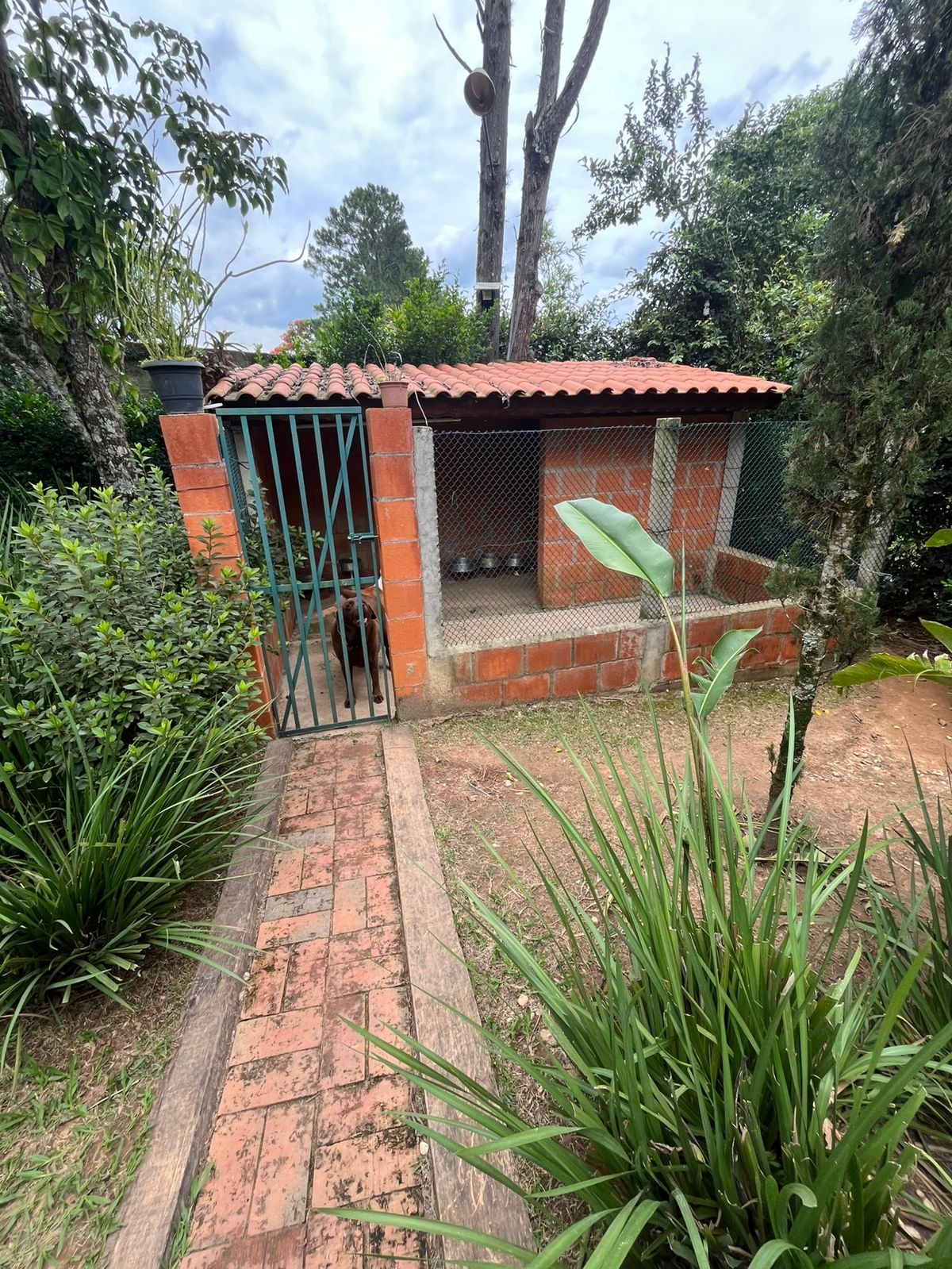 Chácara à venda com 3 quartos - Foto 20