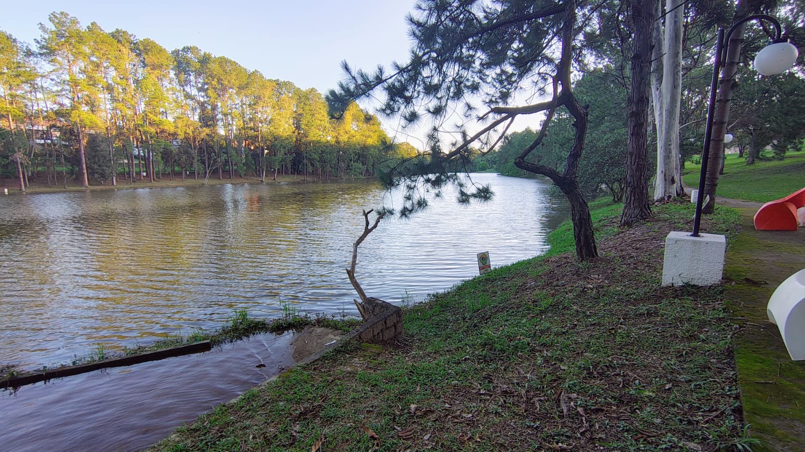 Terreno à venda, 1000m² - Foto 6