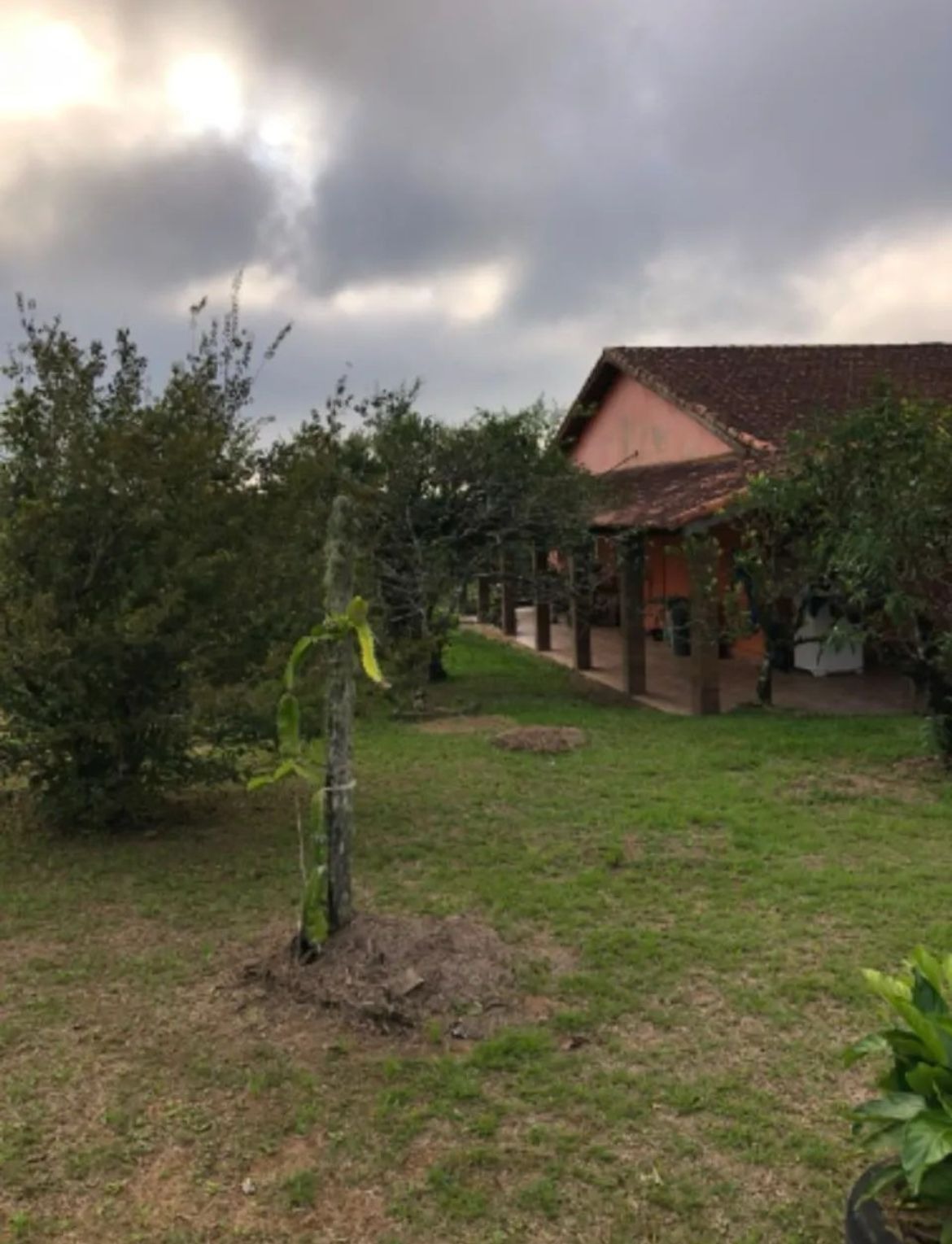 Propriedade incrível à venda em São Miguel Arcanjo -  Potencial Produtivo e Lazer em Meio à Natureza