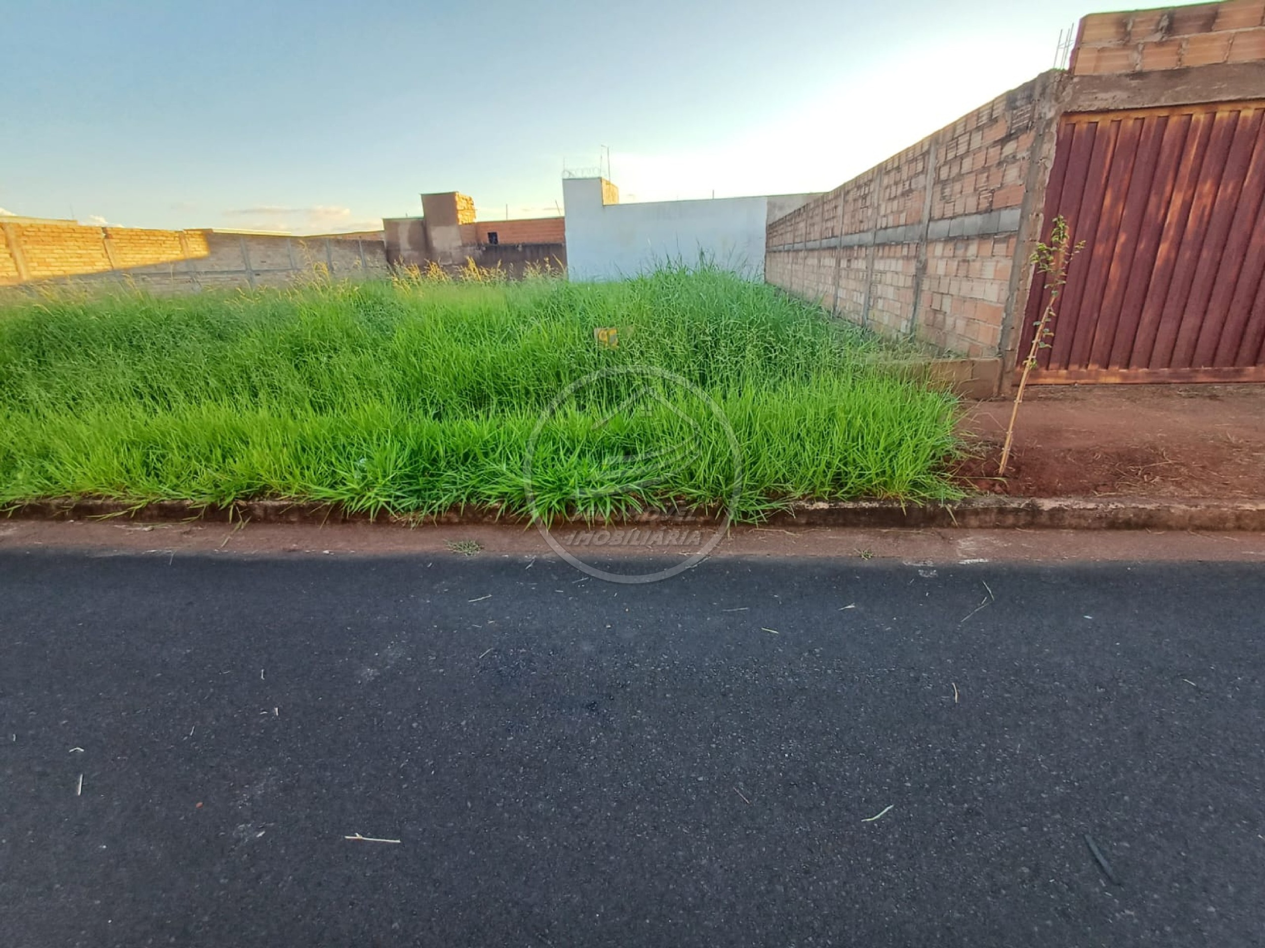 Terreno, 250 m² - Foto 2