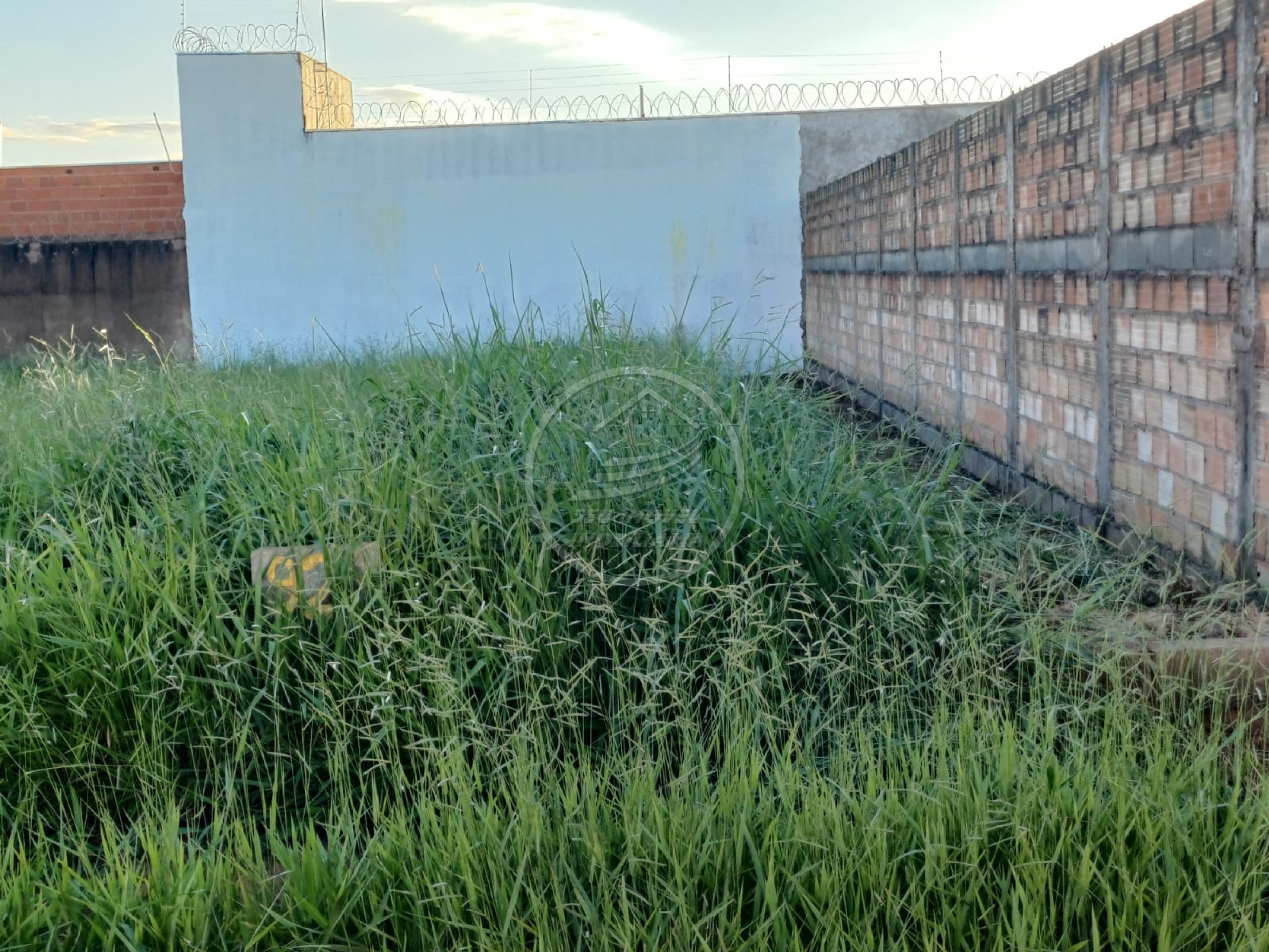 Terreno, 250 m² - Foto 4