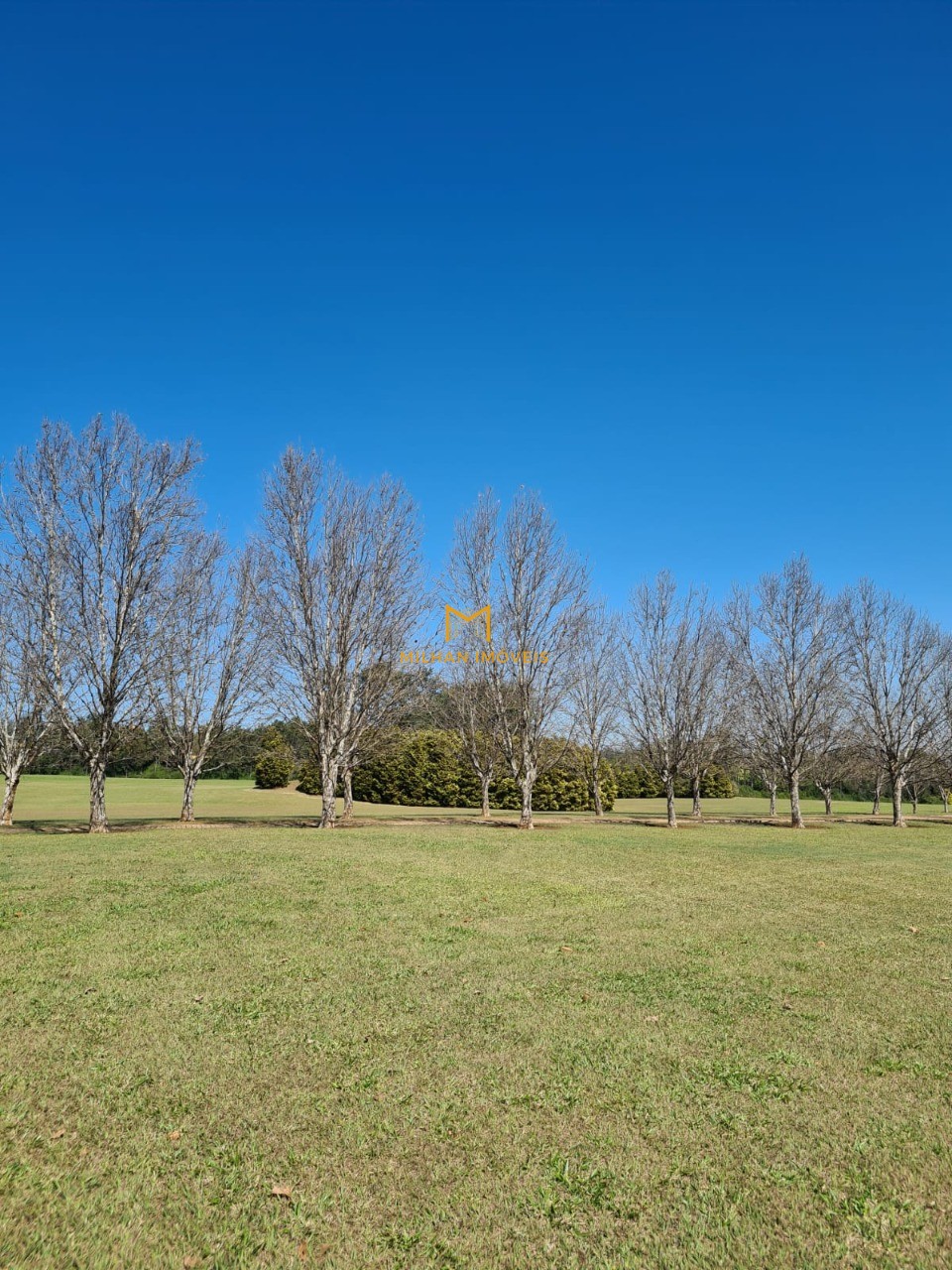 Terreno à venda, 480m² - Foto 8