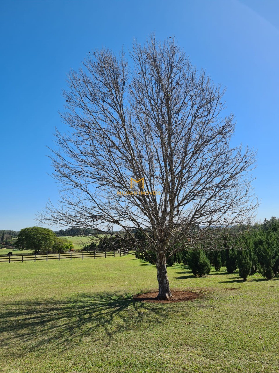 Terreno à venda, 480m² - Foto 9