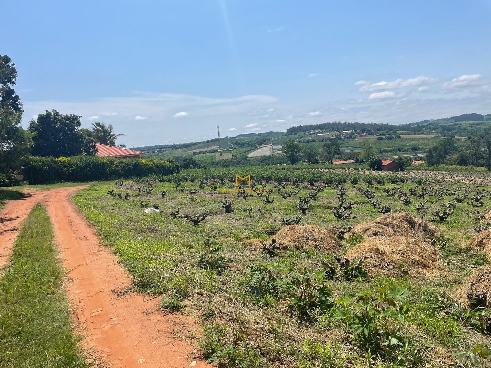 Depósito-Galpão-Armazém à venda - Foto 3