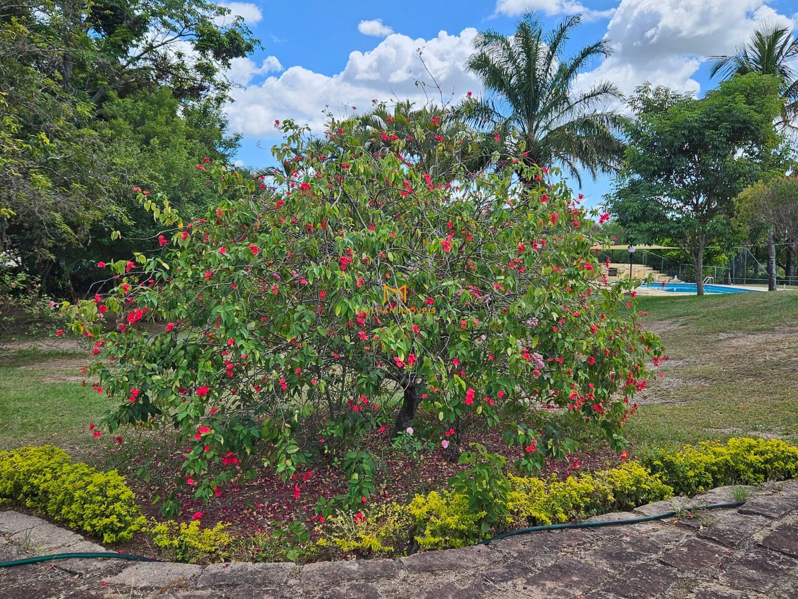 Chácara à venda com 12 quartos - Foto 6