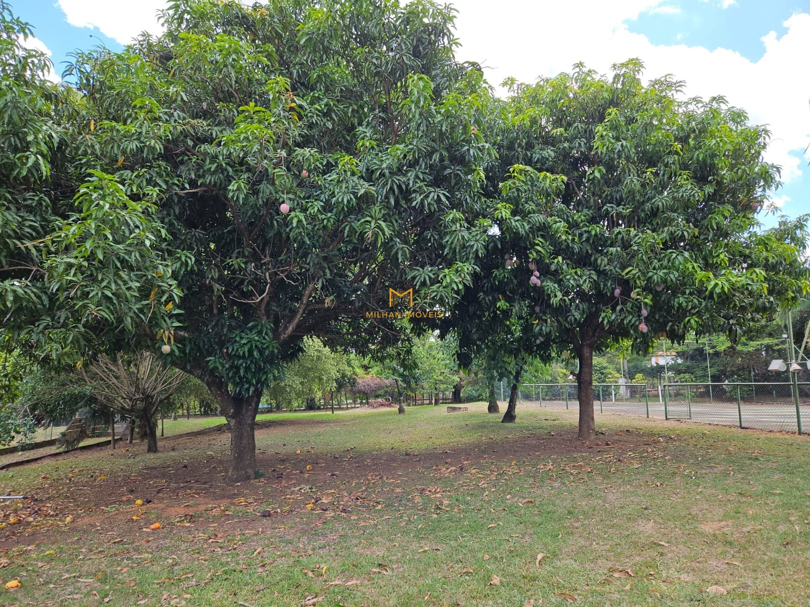 Chácara à venda com 12 quartos - Foto 64