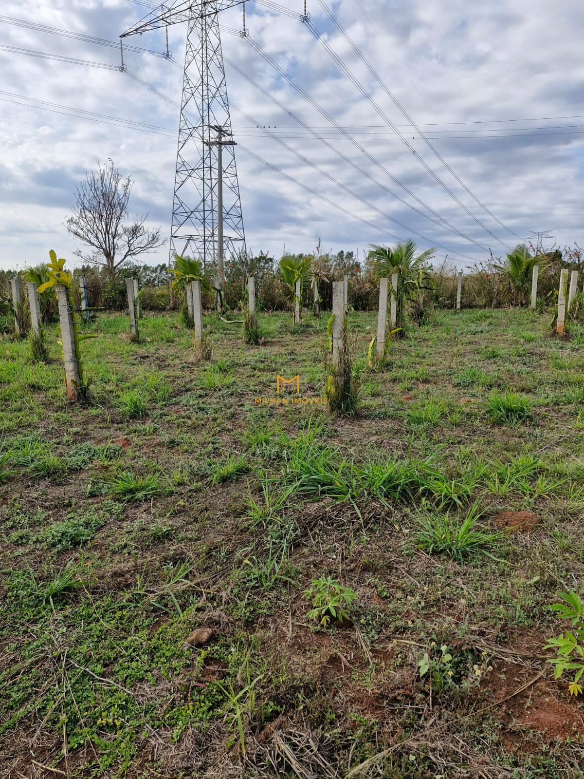 Terreno, 1000 m² - Foto 11