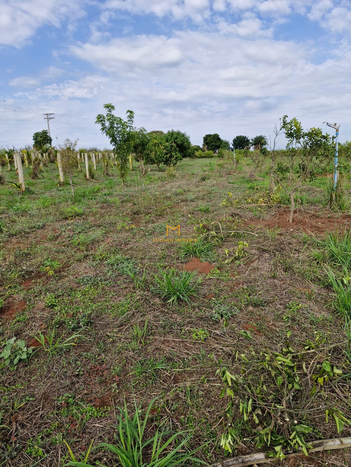 Terreno, 1000 m² - Foto 13