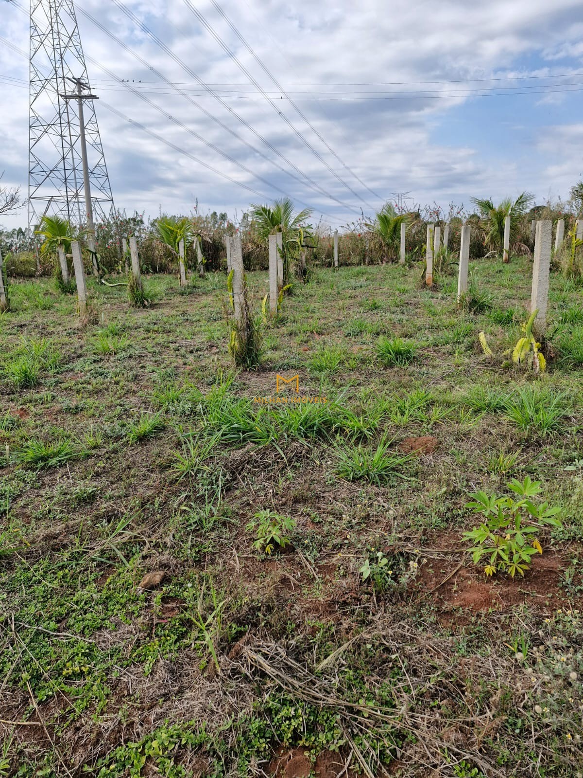 Terreno, 1000 m² - Foto 12