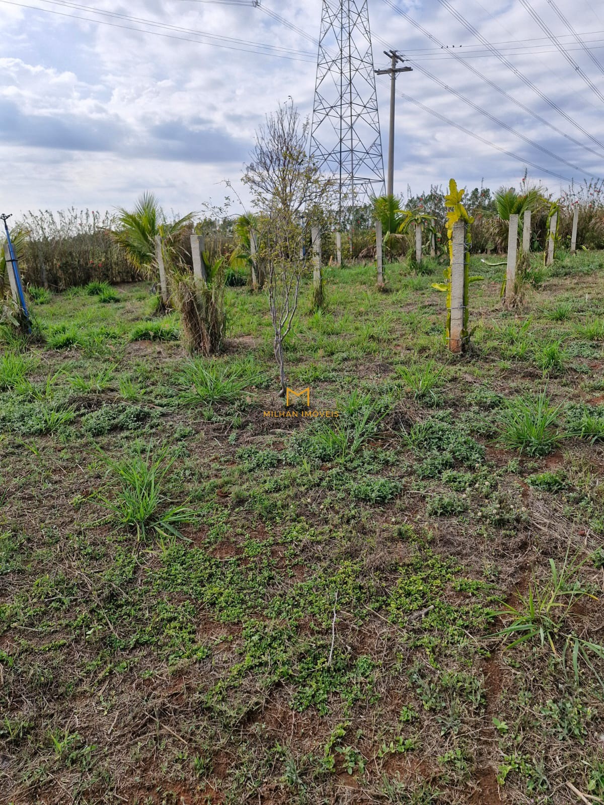 Terreno, 1000 m² - Foto 10