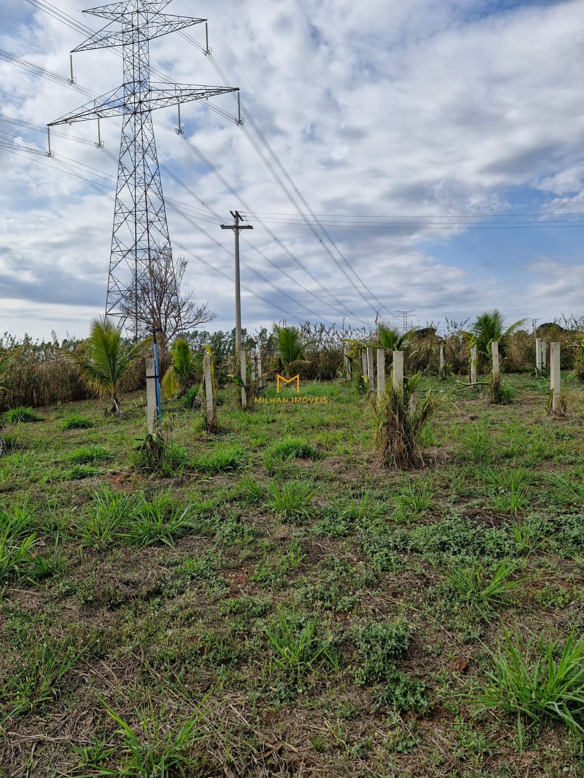Terreno, 1000 m² - Foto 1