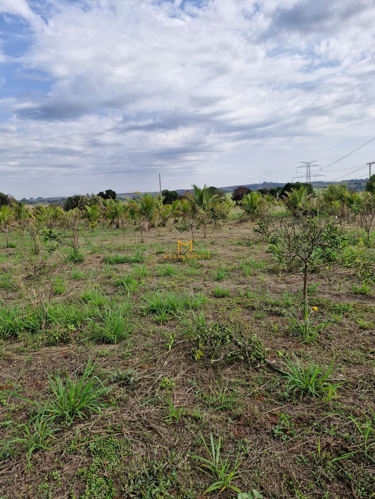 Terreno, 1000 m² - Foto 8