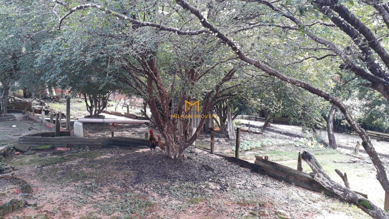 Chácara, 4 quartos - Foto 3