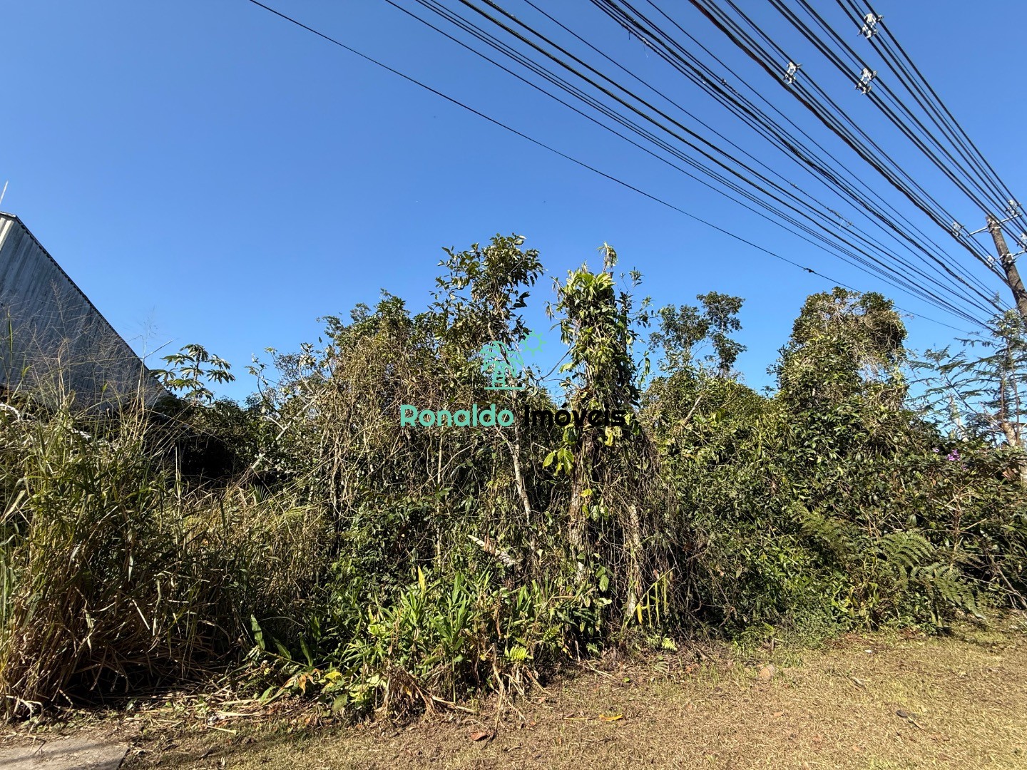 Terreno, 505 m² - Foto 3