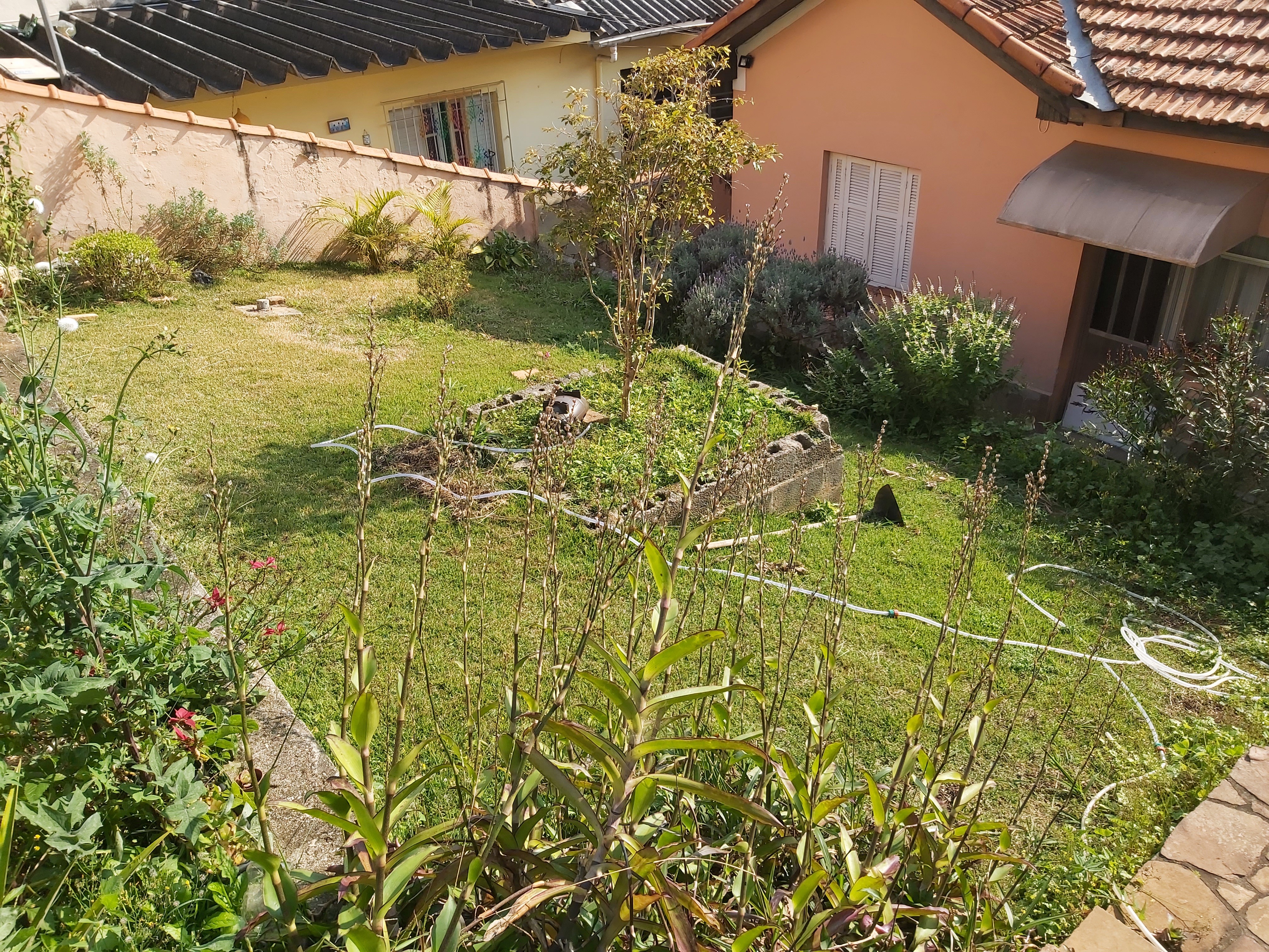 Terreno à venda, 250m² - Foto 6