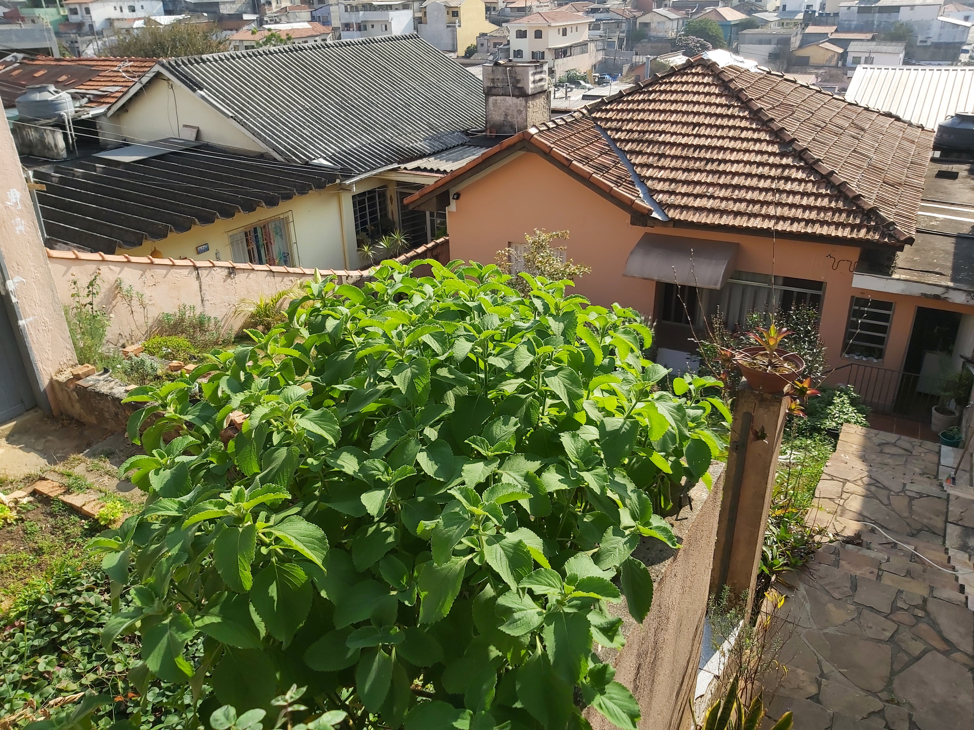 Terreno à venda, 250m² - Foto 3