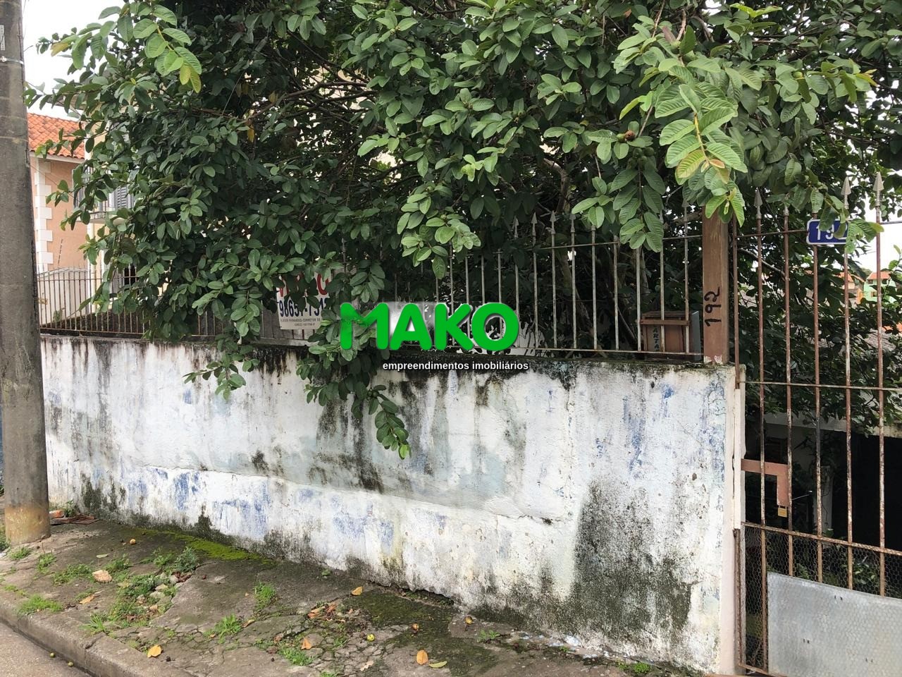 Terreno, 250 m² - Foto 3