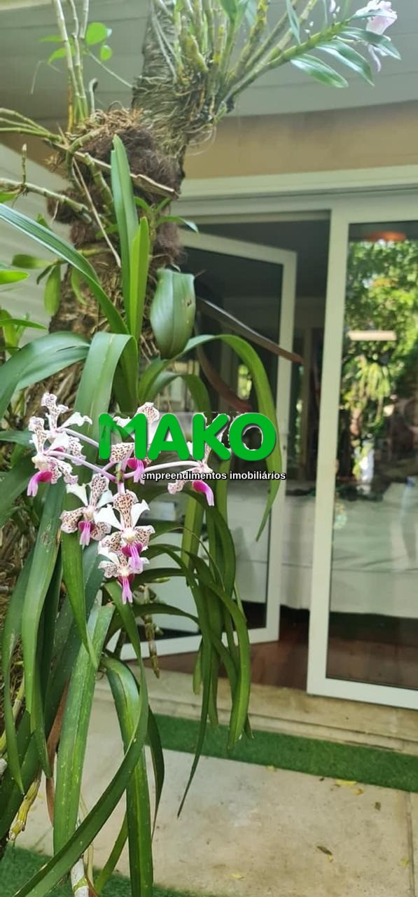 Casa, 5 quartos, 470 m² - Foto 5