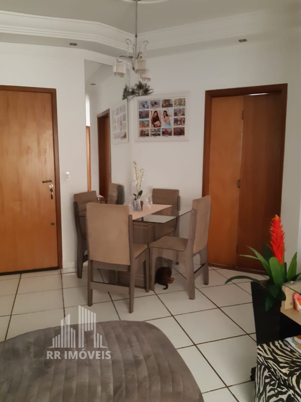 Apartamento à venda com 3 quartos, 75m² - Foto 1