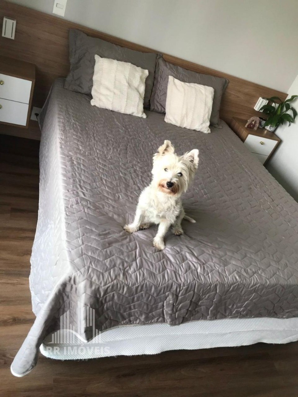 Apartamento, 3 quartos, 200 m² - Foto 23