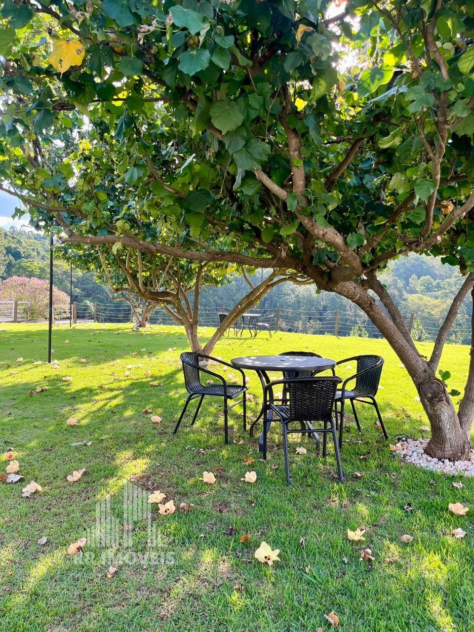 Terreno, 751 m² - Foto 12