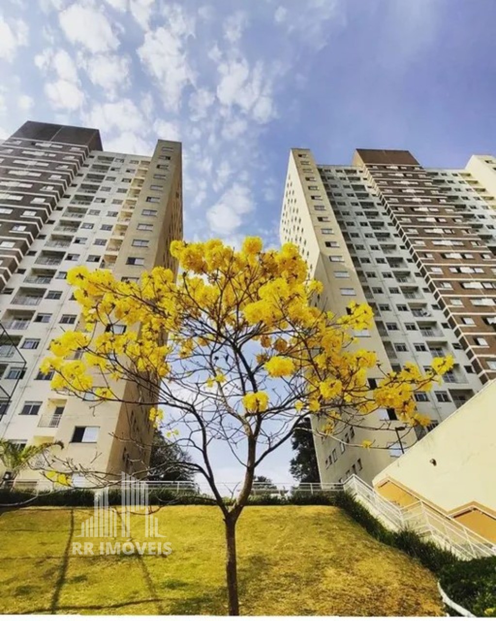 Apartamento, 2 quartos, 53 m² - Foto 11