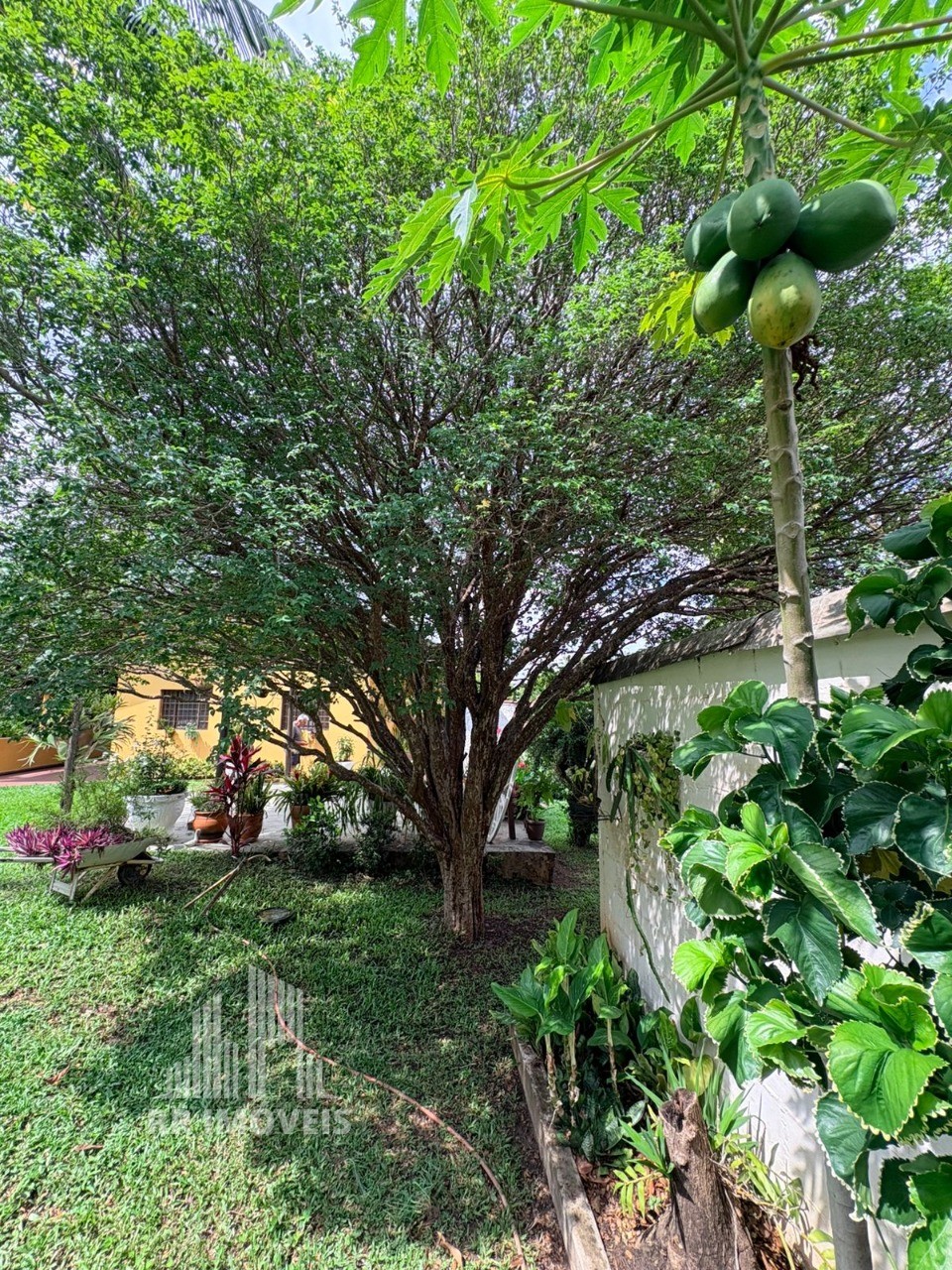 Chácara, 4 quartos - Foto 34
